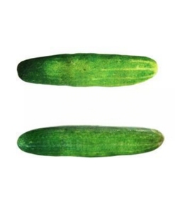 Jouets en peluche pour animaux <span class=keywords><strong>de</strong></span> compagnie, jouets à mâcher pour chiens, jouets à mâcher d'herbe à chat, jouets pour animaux <span class=keywords><strong>de</strong></span> compagnie en gros - Product Image 4