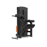 Machine à extensions dorsales sélectives, banc d'hyperextension à empilement de poids réglable pour fessiers et ischio-jambiers, usage commercial en salle de sport
