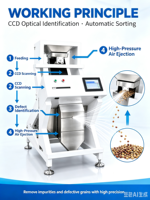 Machine de tri optique automatique des couleurs CCD pour le riz, les céréales, les haricots et le café