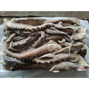 Offre Spéciale : Tentacules de Calamar Congelés IQF, Nettoyés, Entiers, avec Ventouses, Certifiés HACCP, Produits de la Mer - Product Image 3