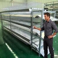 Nouvelle Cage à Poulets à Plusieurs Niveaux pour 1000 Poulets, Ferme Avicole, Type H, Nettoyage Automatique du Fumier par Manivelle, Cage à Poulets en Acier Galvanisé à Chaud