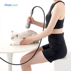 Mesin Terapi <span class=keywords><strong>Laser</strong></span> Veteriner Intensitas Tinggi 30w-60w untuk Pemulihan Pasca Operasi Manusia & Hewan - Product Image 3