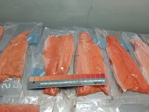 Fillet ikan salmon Frozen Atlantic premium kualitas coho salmon