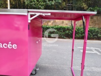 Chariot à glaces mobile personnalisé Etodevice, chariot de vente de gelato commercial avec roues