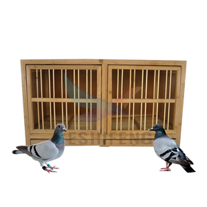 Cages en bois d'élevage à trois yeux pour oiseaux, perroquets, Pigeons avec plateaux, <span class=keywords><strong>cage</strong></span> à oiseaux assortie pour femmes et hommes - Product Image 3