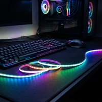 Bande lumineuse LED néon flexible en silicone ultra-fine 4*3mm DC5V USB RGBIC WS2812 IP67 étanche et adressable pour la décoration de voiture DIY
