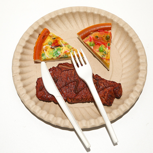 Vaisselle <span class=keywords><strong>jetable</strong></span> en papier écologique, pièces, papier de table biodégradables, assiette à sucre, assiette à aliments - Product Image 3