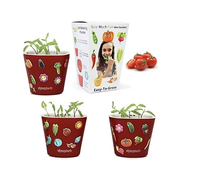 Kit de truie de haricot de jardin de fenêtre auto-arrosant 3 jardinières de légumes pour les graines amusantes des enfants à partir de la maison