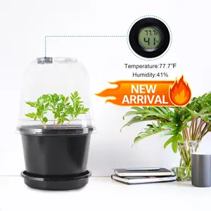 Transparant Hoog Vierkant Aangepast Formaat Kleine Doorzichtige Plastic Sappige Cactusbloem Met Kweeklamp Thermovormende Kinderkamer Pot