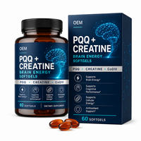 Gélules de PQQ, Créatine et CoQ10 sous Marque Blanche – Fabrication OEM/ODM de Formules Personnalisées pour le Soutien Énergétique Cérébral – Vente en Gros de Suppléments B2B