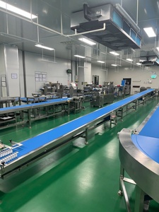 Venta Directa de Fábrica, Cinta Transportadora de Grado Alimenticio, Transportador de Cajas de Pan, Línea de Transporte Industrial para Empaque - Product Image 2