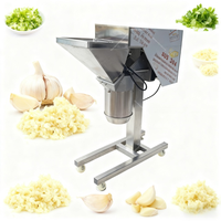 Machine de haute qualité pour le broyage du piment, la fabrication de sauce tomate, le traitement du gingembre, le concassage des oignons, le broyage de l'ail