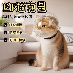 Collar para gato, protector de cabeza para gato, antilamido, antipicaduras, collar antipugnas, protector de cabeza antirasguños para mascotas, Elizabethan - Product Image 2