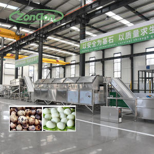 自動カウントウズラの卵の加工ライン10pcs/50pcs/100pcs - Product Image 6