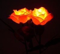 Rose artificielle en plastique lumineuse à LED romantique, Saint-Valentin, mariages, remises de diplômes, Noël, rose en forme de cœur, boîte d'amour emballée