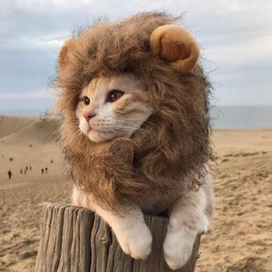 Chapeau amusant pour animaux de compagnie en forme de tête de lion, accessoire créatif pour les oreilles, pour chiens et chats - Product Image 1