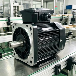 Motor de inducción trifásico de inducción lineal de eficiencia sincrónica AC para motocicleta, 3000W 50-150Hz - Product Image 3