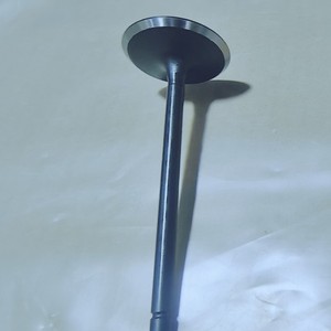 Soupape d'admission et d'échappement 12610931 12621548 pour moteur Lfx 3.6, pièce de rechange - Product Image 2