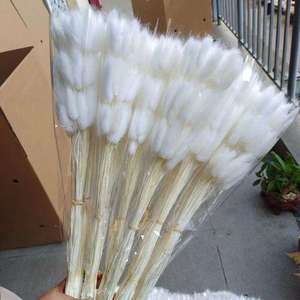 Queues de lapin naturelles colorées en fleurs séchées, Lagurus Ovatus, herbe de la <span class=keywords><strong>pampa</strong></span> naturelle, queues de lapin préservées - Product Image 4