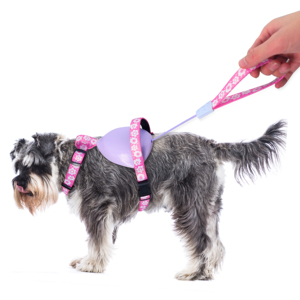 ペット用品カスタム新しい犬ペットベストハーネス小中犬用の調節可能な通気性のある快適な犬のハーネス - Product Image 4