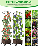 Treillis de support pour plantes grimpantes, roses de jardin, tomates, pour plantes en pot d'intérieur, en acier au carbone, 10 pieds de haut, facile à assembler
