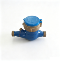 Domestic Multi-Jet Digital Water Meter IP65 Protection Threaded Connection Stainless Steel Construction 2-Year Warranty Water