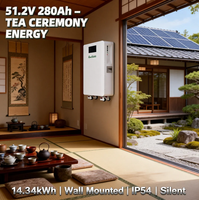Baterai Lithium Ion 14kWh 48V 51.2V 280Ah untuk Sistem Tenaga Surya Off Grid, Terpasang di Dinding dengan Roda