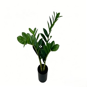 Follaje de Pothos Trepador Fresco y Lujoso con Hojas Delicadas en Forma de Corazón para Decoración de Paredes, Embellecimiento de Pasillos, Dormitorios y Balcones - Product Image 1