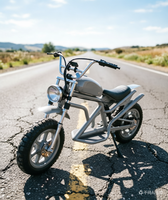 La Bicicleta Eléctrica Retro Harley 5 Urban Leisure de Litio. Con su Encanto Clásico y Excelente Rendimiento, es Realmente Imprescindible