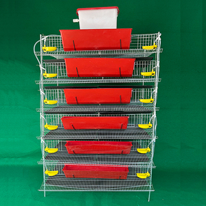 High Quality H Type Automatic Breeding Bird <strong>Cage</strong> Quail Breeding <strong>Cage</strong> - Product Image 4