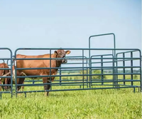 Corey Best-Panneau de clôture portable pour chevaux, tuyau en acier galvanisé, stylo rond pour chevaux, poney/alpaga