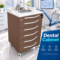 Chariot médical en métal à 5 tiroirs, chariot à instruments en acier inoxydable, mobilier de clinique dentaire, armoire mobile dentaire