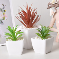 Set Pot sukulen lucu 3 Pot tanaman sukulen Mini lucu Pot kaktus keramik kecil untuk hadiah berkebun Rumah Tangga
