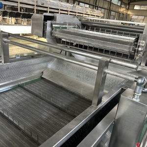 Macchina per la pulizia e lo smistamento delle patate dolci ad alta efficienza-attrezzatura automatica per il lavaggio, l'asciugatura e la classificazione per uso commerciale - Product Image 2
