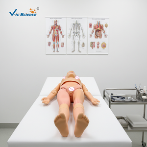 หุ่นจำลองพยาบาลหญิงอเนกประสงค์ สำหรับการสอนทางการแพทย์ หุ่นจำลองการปฐมพยาบาล หุ่นจำลองฝึกอบรมวิทยาศาสตร์การแพทย์ - Product Image 3