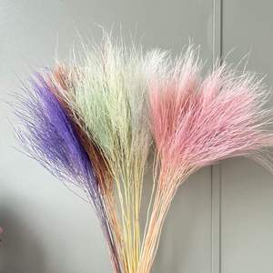 Stipa Pennata séchée romantique, herbe à plumes séchée, herbe à plumes conservée, herbe de pierre - Product Image 2