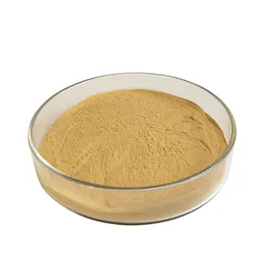 Top Quality custom packing Food Grade nutrition Fresh Brewers Yeast Extract Powder