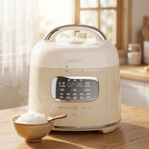 Cuisinière et cuiseur à riz multifonction 3L pour la maison, avec programmes réglables, compacte, légère et portable, format voyage 3L - Product Image 1