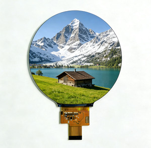 High Brightness 4 Inch <b>Round</b> <b>LCD</b> <b>Display</b> 720*720 <b>TFT</b> <b>Display</b> Screen Module with 30pin Interface for Smart Watch - Product Image 4
