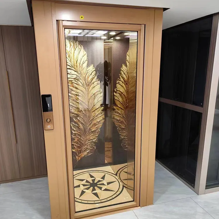 Ascenseur de grande stabilité différencié adapté aux besoins du client par décoration de luxe de passager pour la personne 6