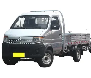 Top Grade Quality Mini Light Truck Changan Shenqi T20 Fuel Truck 2 Door Gasoline Small Transporter Cargo Van