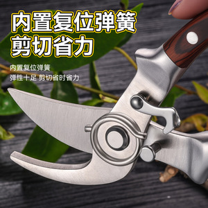 Yu Jian <b>Pruning</b> Shears Stainless Steel 5.2cm Rosewood Handle Butterfly Structure For Fruit <b>Trees</b> - Product Image 4