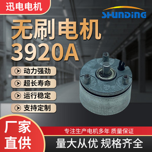 ปืนนวด3920A ไมโคร DC แบบไม่มีแปรงถ่าน36V สำหรับเครื่องเป่าสัตว์เลี้ยง - Product Image 5