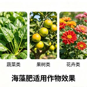 <span class=keywords><strong>Engrais</strong></span> organique <span class=keywords><strong>en</strong></span> <span class=keywords><strong>poudre</strong></span> à base d'acides humiques et fulviques de potassium d'origine algue marine - Product Image 6