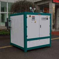 Mini-générateur de vapeur électrique à induction horizontale automatique 500-1000 kg, haute efficacité, faible entretien