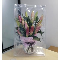 Boîte d'emballage de plante verte à fleurs personnalisée boîte d'emballage de transport de semis de fleurs protection pot blister