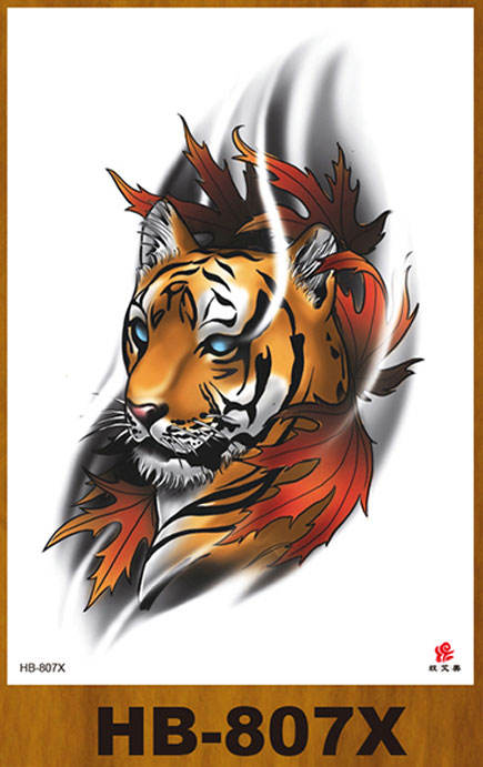HB-807X