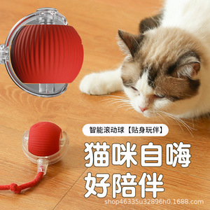 Balle de jeu pour chat, roule automatiquement avec corde, jouet interactif pour animaux de compagnie, pour chats - Product Image 3