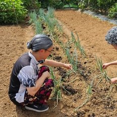 20668171ผม Nare ของคุณยายที่ใช้ต่อผมและวิกผม - Product Image 1