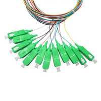 High Quality FTTH Use 12 Colors Cores Fiber Pigtail LSZH 0.9mm SC APC Singlemode Fiber Optic Optical Cable